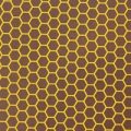 Honeycomb, chocolate transfer sheets x2