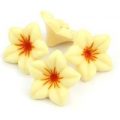 White chocolate flowers – Tub of 4